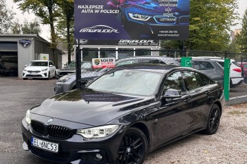Polski Salon XDrive Kamera Harman Łopatki